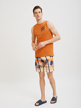 Пляжные шорты Summerhit с принтом пальмы